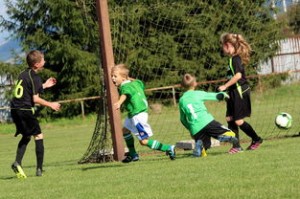 开云·体育官网APP下载-体育新闻中心特别快讯播报，体育新闻最新快报